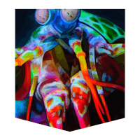 a colorful painting of a shrimp on a black background