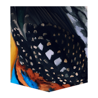 a painting of a bird with colorful feathers