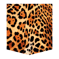 an image of a leopard print on a black background